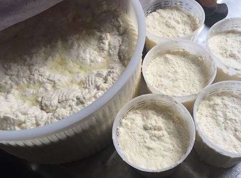 ricotta fresca_calabrese